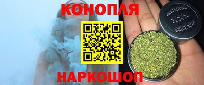 прущие грибы Кингисепп