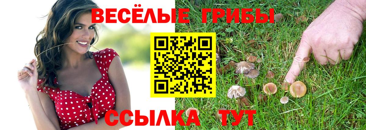 Псилоцибиновые грибы мицелий  цены   Красногорск  Вход с VPN 